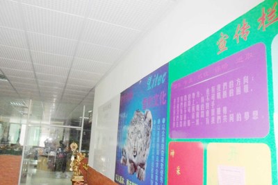 廣州市增城來(lái)利電子加工廠的鏡界銷售策略分析